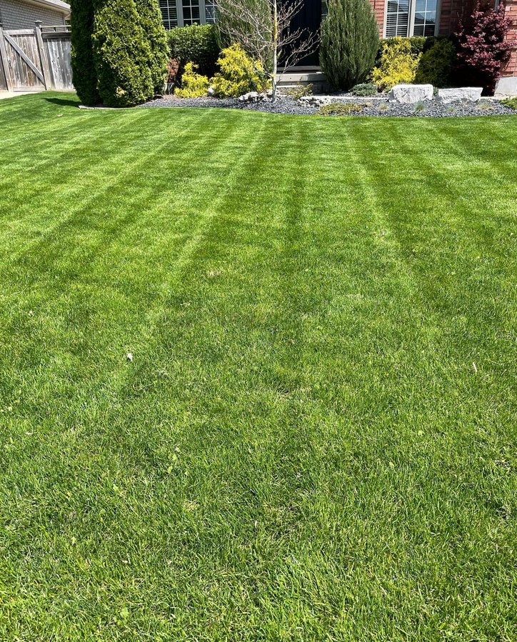 Lawn & Land Landscape Co. work