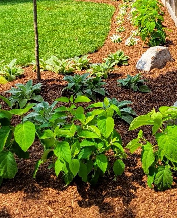 Lawn & Land Landscape Co. work